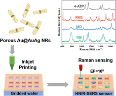 Graphical abstract: High-throughput surface-enhanced Raman scattering sensors for near-infrared detection of biochemical molecules