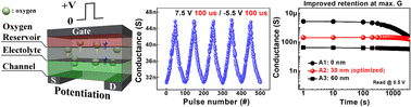 Graphical abstract: Role of the electrolyte layer in CMOS-compatible and oxide-based vertical three-terminal ECRAM