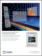 Graphical abstract: Inside back cover