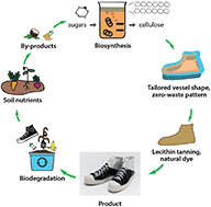 Graphical abstract: Microbial nanocellulose biotextiles for a circular materials economy
