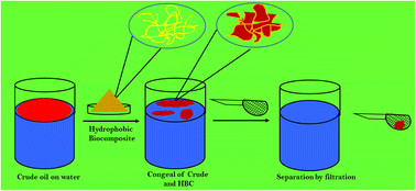 Graphical abstract: A facile scalable hydrophobic biocomposite for oil spill cleanup