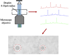 Graphical abstract: Characterizing the hygroscopicity and volatility of single levitated aerosol droplets via optical tweezers-Raman spectroscopy