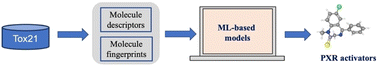 Graphical abstract: Machine learning based models for high-throughput classification of human pregnane X receptor activators