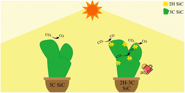 Graphical abstract: Crystal phase engineering SiC nanosheets for enhancing photocatalytic CO2 reduction