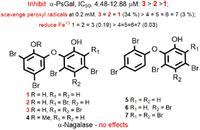 Graphical abstract: Effects of sponge-derived polybrominated diphenyl ethers on human cancer cell α-N-acetylgalactosaminidase and bacterial α-d-galactosidase and their antioxidant activity