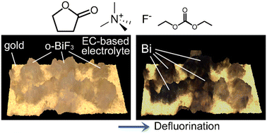 Graphical abstract: Evolution of fluoride shuttle battery reactions and three-dimensional morphology changes of BiF3 microparticles in an ethylene carbonate-based liquid electrolyte