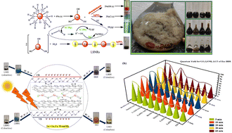 Graphical abstract: LSNR:GO template for BSA interaction, photo and sonocatalytic reductions of fluorescent dyes in aqueous solutions