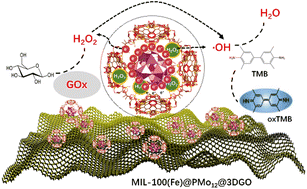 Graphical abstract: Increasing the peroxidase-like activity of the MIL-100(Fe) nanozyme by encapsulating Keggin-type 12-phosphomolybdate and covering three-dimensional graphene