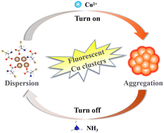 Graphical abstract: Recyclable fluorescence sensing based on copper clusters for simultaneous determination of copper ions and ammonia