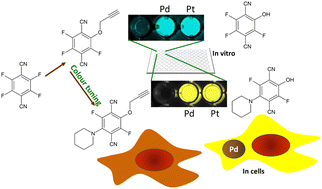 Graphical abstract: A color-tunable single-benzene fluorophore-based sensor for sensitive detection of palladium in solution and living cells