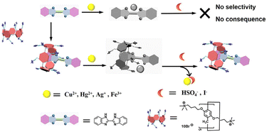 Graphical abstract: Ion recognition properties of 2,2′-bibenzimidazole regulated by ammonium-modified pillar[5]arenes