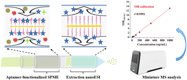 Graphical abstract: Online hyphenation of in-capillary aptamer-functionalized solid-phase microextraction and extraction nanoelectrospray ionization for miniature mass spectrometry analysis