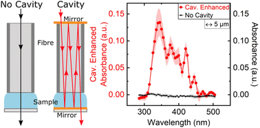 Graphical abstract: Broadband cavity enhanced UV-VIS absorption spectroscopy for picolitre liquid samples