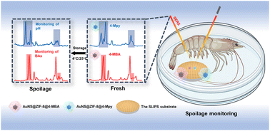 Graphical abstract: Sensitive and reproducible gold nanostar@metal–organic framework-based SERS membranes for the online monitoring of the freshness of shrimps