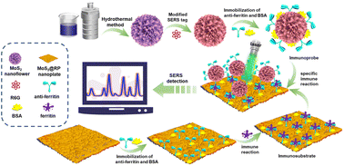 Graphical abstract: A non-metallic SERS-based immunoassay founded by light-harvesting effect and strengthened chemical enhancement