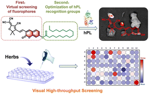 Graphical abstract: A rationally engineered specific near-infrared fluorogenic substrate of human pancreatic lipase for functional imaging and inhibitor screening