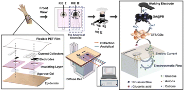 Graphical abstract: Boosting the performance of an iontophoretic biosensing system with a graphene aerogel and Prussian blue for highly sensitive and noninvasive glucose monitoring