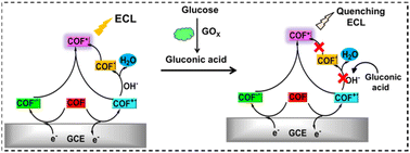 Graphical abstract: Development of an exogenous coreactant-free electrochemiluminescent sensor for sensing glucose