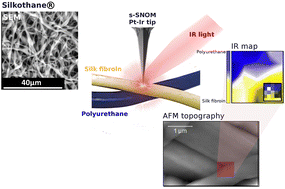 Graphical abstract: Infrared nanospectroscopy depth-dependent study of modern materials: morpho-chemical analysis of polyurethane/fibroin binary meshes