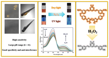 Graphical abstract: A highly effective “naked eye” colorimetric and fluorimetric curcumin-based fluorescent sensor for specific and sensitive detection of H2O2in vivo and in vitro