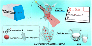 Graphical abstract: Fabrication of molecularly-imprinted gold nanoparticle-embedded Fe-MOFs for highly selective SERS detection of 17β-estradiol in milk