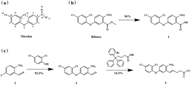 Graphical abstract: Hapten synthesis and a colloidal gold immunochromatographic strip assay to detect nitrofen and bifenox in fruits