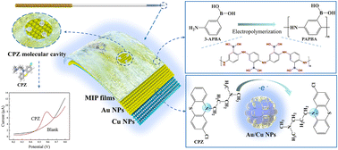 Graphical abstract: An electrochemical chlorpromazine sensor based on a gold–copper bimetallic synergetic molecularly imprinted interface on an acupuncture needle electrode