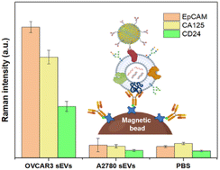 Graphical abstract: Improving SERS biosensors for the analysis of ovarian cancer-derived small extracellular vesicles