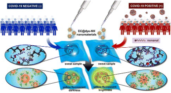 Graphical abstract: A fluorescence-based sweat test sensor in a proof-of-concept clinical study for COVID-19 screening diagnosis