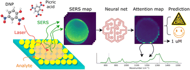 Graphical abstract: Nitroaromatic explosives’ detection and quantification using an attention-based transformer on surface-enhanced Raman spectroscopy maps