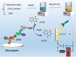 Graphical abstract: A digital multimeter-based portable photoelectrochemical immunoassay for the detection of cardiac troponin I with enzymatic biocatalytic precipitation