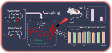 Graphical abstract: A near-infrared fluorescent probe for in situ imaging of SO2 flux in drug-induced liver injury