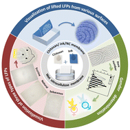 Graphical abstract: Wet nitrocellulose membrane for the level 3 feature visualization of various latent fingerprints and gender determination