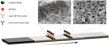 Graphical abstract: Carbon black as a colorimetric label for an immunochromatographic test strip for severe fever with thrombocytopenia syndrome virus detection