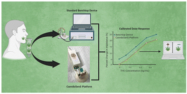 Graphical abstract: CannibiSenS: an on-demand rapid screen for THC in human saliva