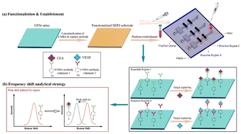Graphical abstract: Ultrasensitive detection of gastric cancer biomarkers via a frequency shift-based SERS microfluidic chip