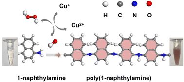 Graphical abstract: A colorimetric chemosensor for sensitive and selective detection of copper(ii) ions based on catalytic oxidation of 1-naphthylamine