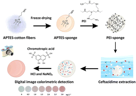 Graphical abstract: Digital image colorimetric detection of ceftazidime based on azo compound formation on a polyethyleneimine-modified cotton sponge