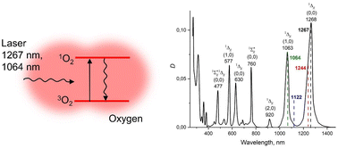 Graphical abstract: Efficiency of direct photoinduced generation of singlet oxygen at different wavelengths, power density and exposure time of laser irradiation