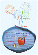 Graphical abstract: Chemiluminescence resonance energy transfer-based multistage nucleic acid amplification circuits for MiRNA detection with low background