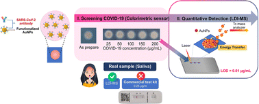 Graphical abstract: Alternative platform for COVID-19 diagnosis based on AuNP-modified lab-on-paper