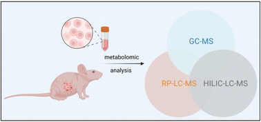 Graphical abstract: A multiplatform metabolomics approach for comprehensive analysis of GIST xenografts with various KIT mutations