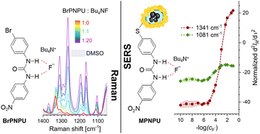 Graphical abstract: Gold nanoshells with magnetic cores and a urea-based receptor for SERS sensing of fluoride anions: experimental and computational study