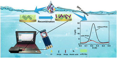 Graphical abstract: A portable molecularly imprinted polymer-modified microchip sensor for the rapid detection of perfluorooctanoic acid