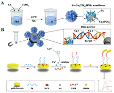 Graphical abstract: Electrochemical detection of SARS-CoV-2 based on copper nanoflower-triggered in situ growth of electroactive polymers