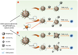 Graphical abstract: Aptasensors with palladium nanoparticle-modified hemin-containing metal–organic frameworks as the signal marker for detection of exosomes