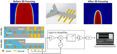 Graphical abstract: An adaptive three-dimensional hydrodynamic focusing microfluidic impedance flow cytometer