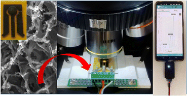 Graphical abstract: Silver nanoparticles – laser induced graphene (Ag NPs – LIG) hybrid electrodes for sensitive electrochemical-surface enhanced Raman spectroscopy (EC-SERS) detection