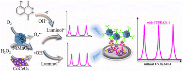 Graphical abstract: Co-amplification of luminol-based electrochemiluminescence immunosensors based on multiple enzyme catalysis of bimetallic oxides CoCeOx and NiMnO3 for the detection of CYFRA21-1