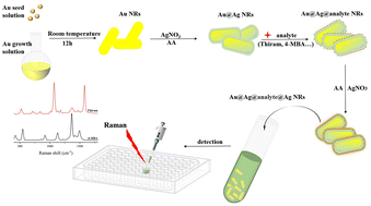 Graphical abstract: Ultrasensitive detection of thiram based on surface-enhanced Raman scattering via Au@Ag@Ag core/shell/shell bimetallic nanorods